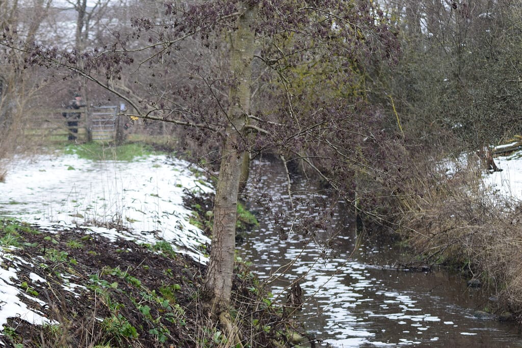 Tur langs Værebro å bag ved Måløv rensningsanlæg mens jeg leder efter Vandstær (Cinclus cinclus). Blog, Oplevelser/ Udflugter/ Felttur, Hyggetur, Ildfugl.com