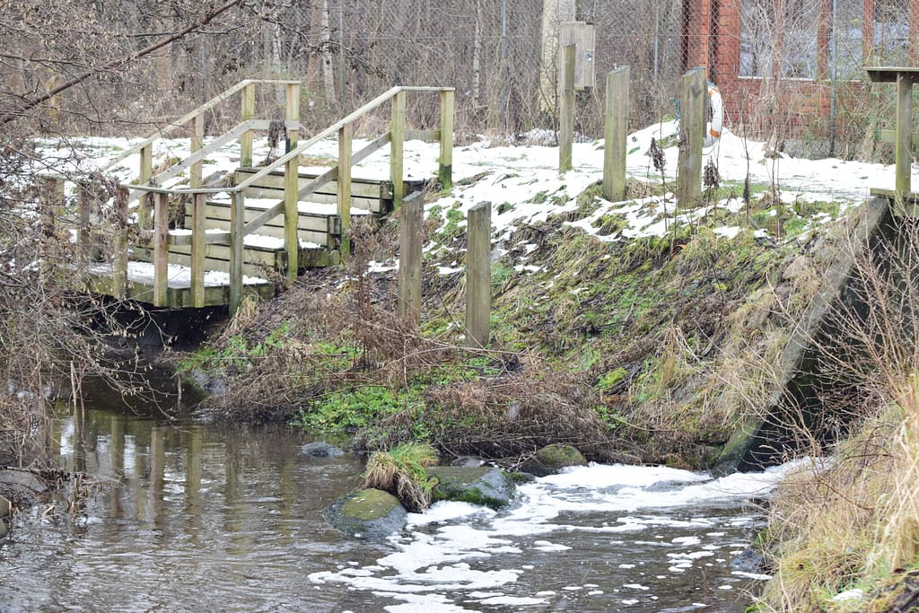 Vi ville lede efter Vandstær (Cinclus cinclus) langs Værebro å bagved Måløv, og vi kom derfor forbi rensningsanlægget. Her er set Vandstær før. Blog, Oplevelser/ Udflugter/ Felttur, Hyggetur, Ildfugl.com
