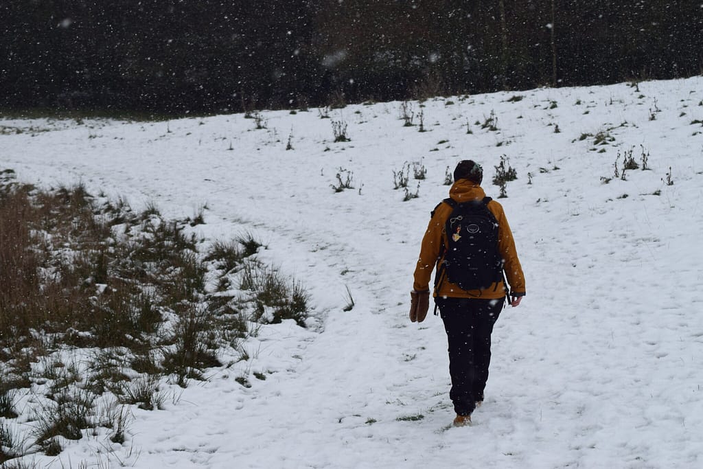 Værebro å ved Måløv og Jonstrup en snevejrsdag i januar 2021. På tur for at se Vandstær (Cinclus cinclus) og måske en Bjergvipstjert (Motacilla cinerea) langs Værebro å. Blog, Oplevelser/ Udflugter/ Felttur, Hyggetur, Ildfugl.com
