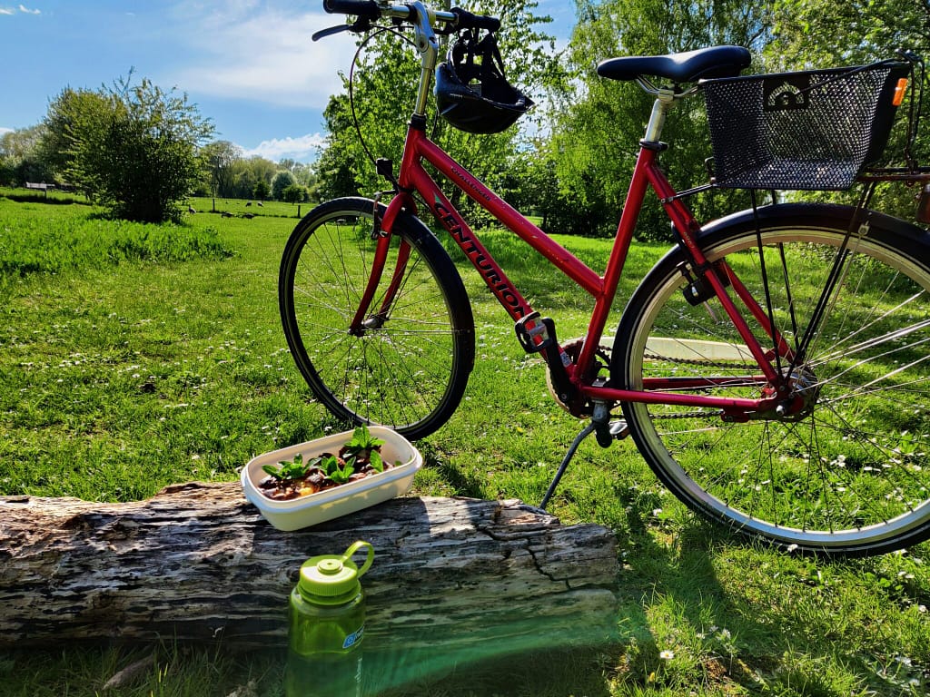 Jeg var på tur i Utterslev mose i søndags (den 16 maj 2021) for at logge sommerfugle. Tog lidt af kagerne og vand med. Jeg fik ikke spist dem alle, så der var til den næste tur også. Billede er taget af Zelina Elex Petersen. Rabarber- og mandelmazarinkage. Snack opskrifter til skovtur. Ildfugl.com