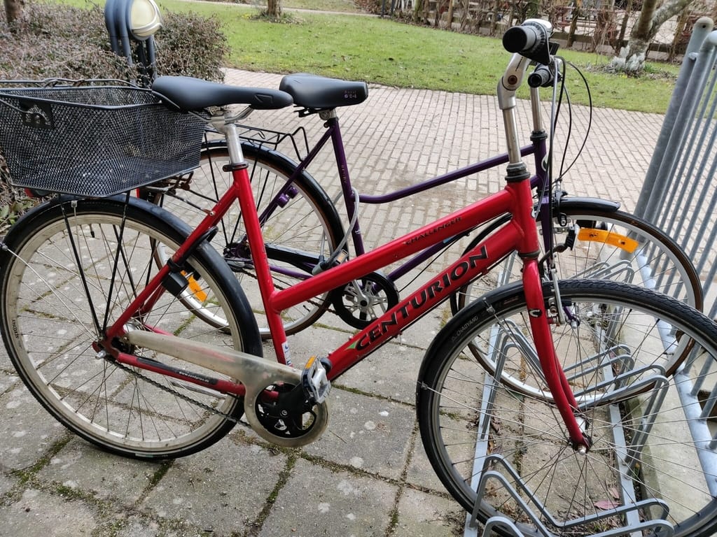 Cykel og offentlig transport er et de mest bæredygtige transportformer. Jeg har selv to cykler, som er min yndlings transportform. 10 tips til at leve bæredygtigt og spare på jordens ressourcer. Hverdagsaktivisme. Ildfugl.com