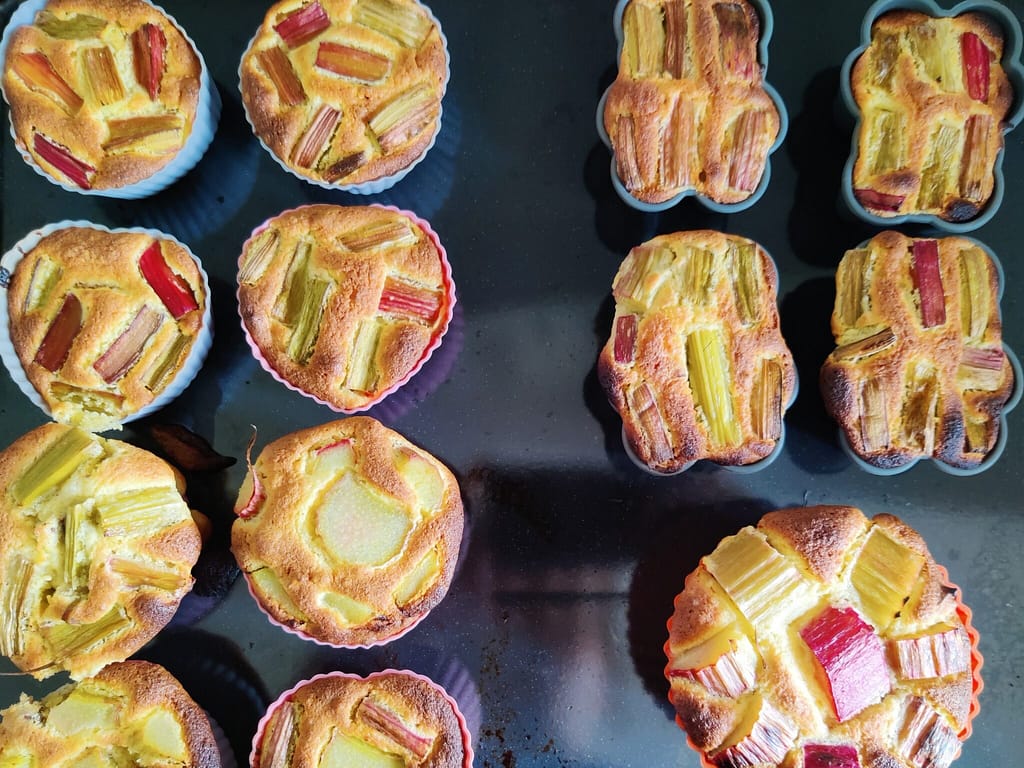 Færdigbagte Mandel- og rabarbermazarinkager - nu skal de bare køle af. Billedet er taget af Zelina Elex Petersen. Rabarber- og mandelmazarinkage. Snack opskrifter til skovtur. Ildfugl.com