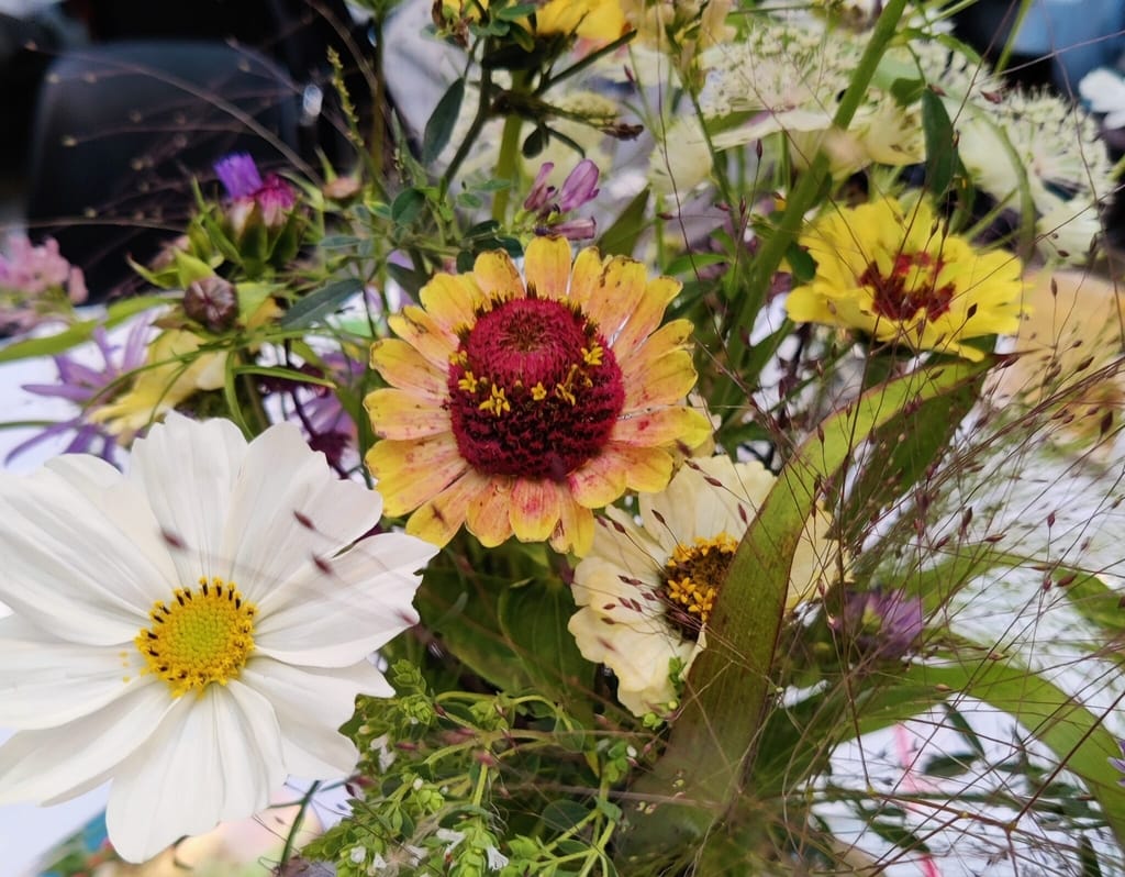 Biodiversitetskonference for København 2050 plan. Smuk blomsterdekoration lavet af unge fra organisationen FRAK. Den var så smuk, og den hjalp til at sætte en god stemning for mødet. Billede taget af Zelina Elex Petersen 21 september 2021.