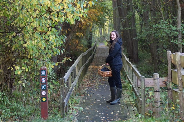 Gangbro gennem krat til fugletårnet ved Ulvshale eng på Møn. Oplev Møn.