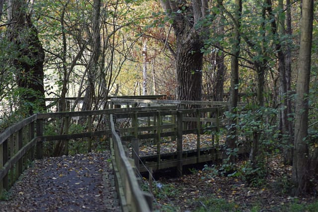 Gangbro til fugletårn. Ulvshale eng. Oplev Møn