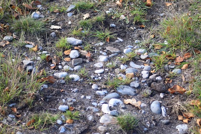 Flintesten som Ulvshale er bygget op af. De stammer fra Møns klint. Oplev Møn.