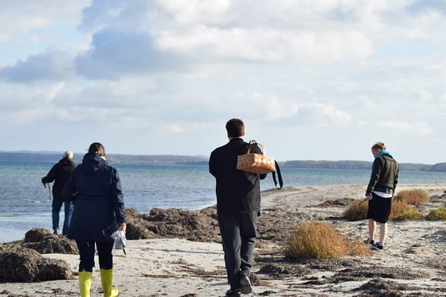 Nu er vi nået vejs ende, og går turen tilbage langs stranden. Ulvshale Nordstrand, Oplev spændende Møn.