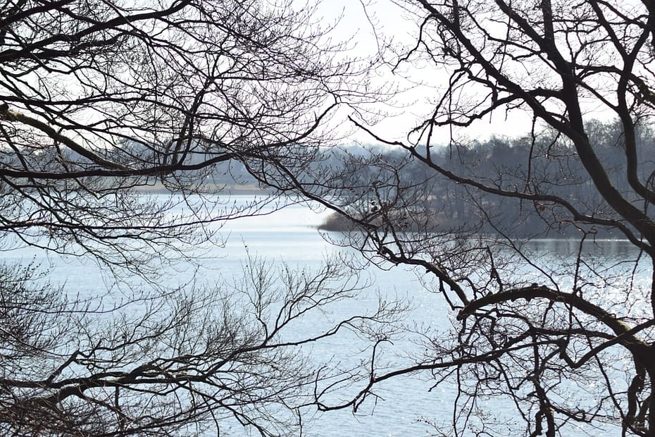 Udsigten over Bagsværd sø fra nordøst (Frederiksdal). Her er helt sikkert også smukt om vinteren. Naturen nær Bagsværd sø.