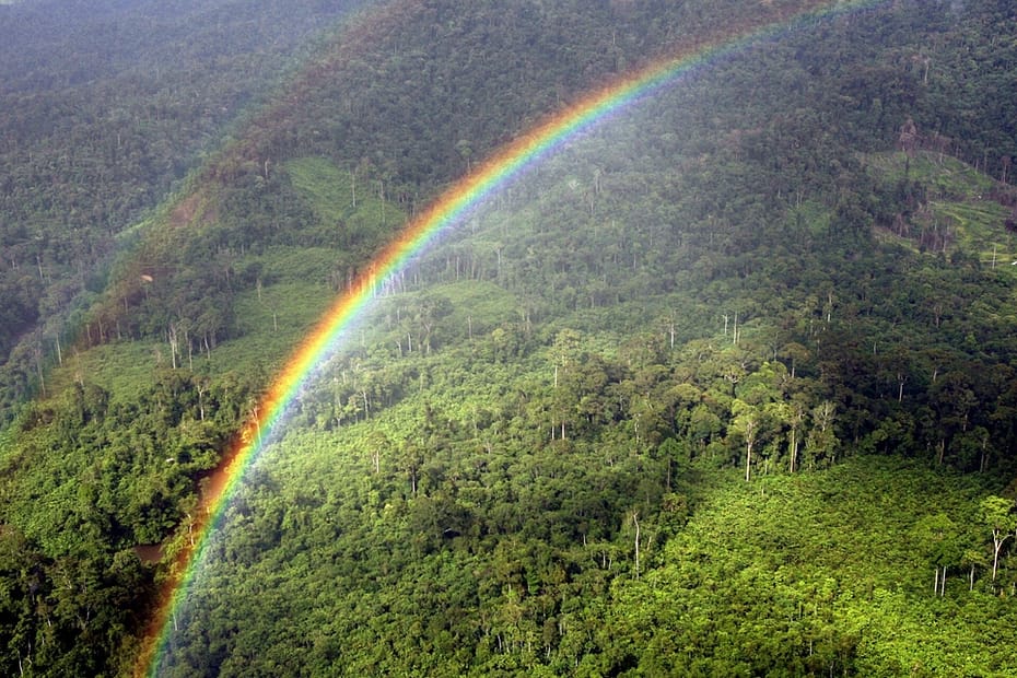 En regnbue over Ulu Baram regnskov i øst Malaysia Borneo. Regnskoven i Malaysia trues af Palmeolieindustrien, der hvert år brænder mere og mere regnskov for at etablere palmeplantager til Palmeolieindustrien. Fra Ildfugl.com, Blog, Hverdagsaktivisme, Spis Klima- Og Naturvenligt - Undgå Palmeolien I Dine Indkøbsvare
