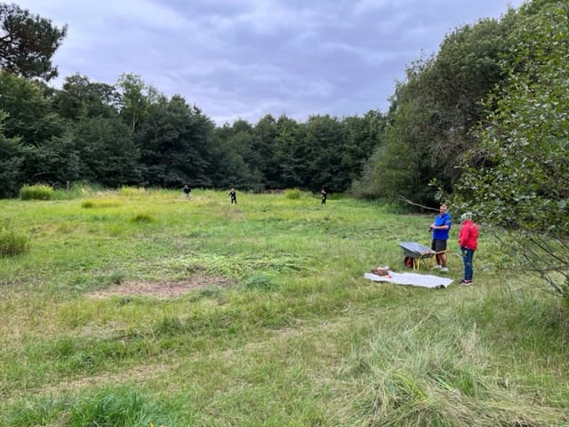 I gamle dage var høslæt en udbredt driftsform i landbruget i Danmark. Det skulle skaffe hø til dyrene om vinteren. Denne driftsform har fundet sted i Danmark i mange tusinde år. Mange danske arter af sommerfugle og planter har udviklet en livsstil der passer denne brug af landskabet. Det er derfor skidt for sommerfuglene, at det stort set er ophørt nu. I dag udføres høslæt primært af frivillige, som vil passe på særligt god natur. Et eksempel er denne ferskvandeng ved Næsseskoven/Malmmosen i Rudersdal. Her har den lokale afdeling DN Rudersdal startet høslæt i 2021 på et kommunalt område på ca. 7.000 m2. Her var stort set kun Gyldenris (sildig) og kraftige siv/græsser. Nu holdes de nede med le-slåning. "Høet" fjernes 2 gange om året. Her er meget brug for pleje, derfor slår de også løbende på mindre områder, så blomstervæksten fremmes. Ved høslættet efterlades små uslåede pletter med gyldenris, fordi den er en god nektarplante til insekterne i sensommeren. De efterlader også høje græsser, som er gode gemmesteder for insekter. Her kan man allerede se de gode resultater (mange flere blomster/urter) efter bare et enkelt år. I 2022 er der set 19 forskellige dagsommerfuglearter på området. Billede er taget af DN Rudersdal afdelingen. Tak for lån. Ildfugl.com